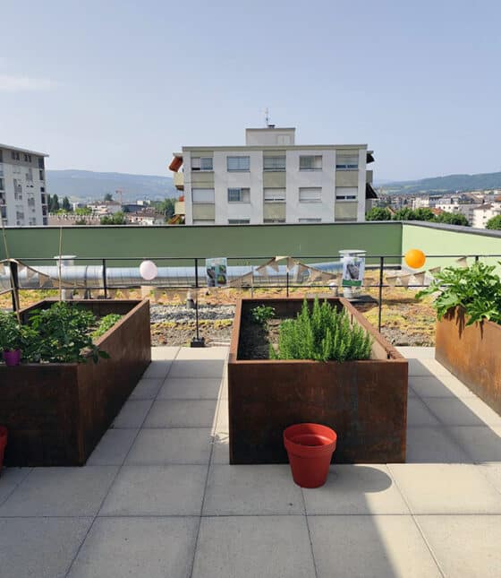 terrasse-potager-roseraie2
